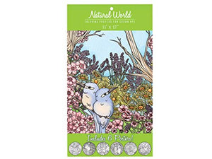 Natural World Adult Coloring Poster Set - Pack of 36