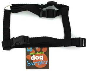 24 Packs of Dog harness