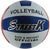 Bulk Buys Official Size and Weight Volleyball (Set of 2)