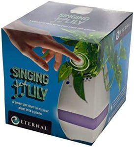 bulk buys Singing Lily Pot - Pack of 4