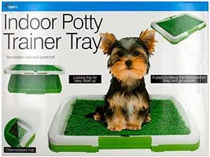 Indoor Potty Trainer Tray - Pack of 6