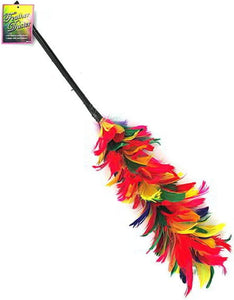 Bulk Buys GH155-72 22&quot; Long Feather Duster - Pack of 72