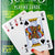 bulk buys Jumbo Novelty Playing Cards - Pack of 12
