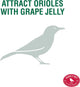 Perky-Pet 253 Wild Oriole Jelly Bird Feeder - 32 Ounce Feeder Capacity