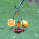 Birds Choice Flower Oriole Bird Feeder Small Orange