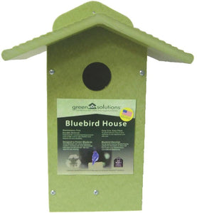 Green Solutions Bluebird House