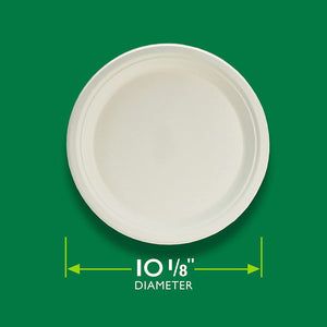 Hefty ECOSAVE 100% Compostable Paper Plates, 10-1/8 Inch, 16 Count