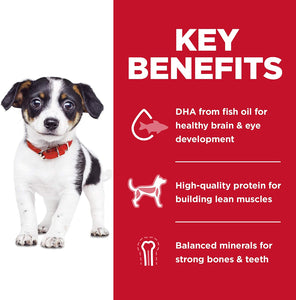 Hill's Science Diet Dry Puppy Food, No Corn, Wheat or Soy, Chicken Recipe