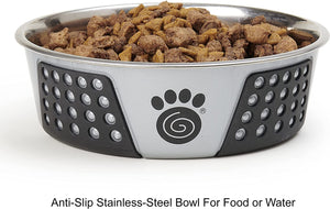 PetRageous 13097 Fiji Stainless Steel Non-Slip Dishwasher Safe Dog Bowl