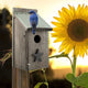 Woodlink Audubon Rustic Farmhouse Bluebird House Natural