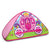 Little Tikes Enchanted Princess Carriage Bed Tent