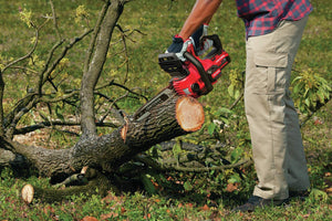 CRAFTSMAN CMCCS620B Power Chainsaw, Red
