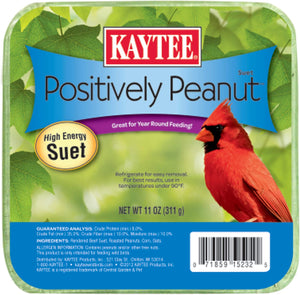 Positively Peanut Suet