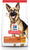 Hill's Science Diet Dry Dog Food, Large Breed Adult 6+ Senior, Chicken, Barley & Rice Recipe
