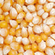 4102 Great Northern Popcorn Gourmet Mushroom Popcorn Bulk Bag Premium Grade, 50 Pound