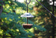 Mealworms Bird Feeder | 5 x 5 inch Powder Coated Mesh Bowl with Adjustable Stainless Steel Roof