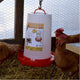 Farm Innovators Model HPF-100 "All-Seasons" Heated Plastic Poultry Fountain, 3 Gallon, 100-Watt