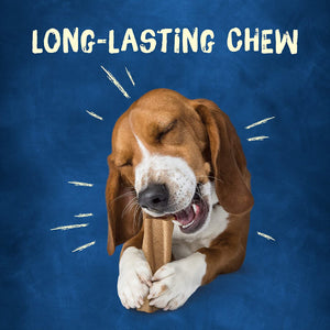 Purina Busy Bone Dog Chew Small/Medium Dog Treats