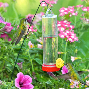Perky-Pet Perky Pet Plastic Hummingbird Feeder