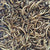 Flock Fest Dried Mealworms for Chickens, Wild Birds, Ducks, and Small Pets, 20 Lbs