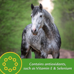 Farnam Vita Plus Balanced Multi-Vitamin & Mineral Supplement
