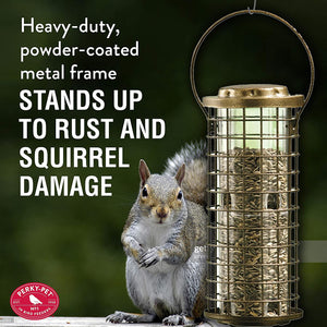 Perky-Pet 114 Squirrel Stumper Wild Bird Feeder