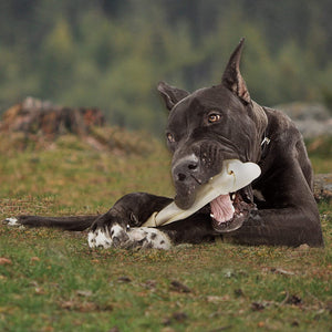 Cadet Gourmet Premium Grade Rawhide Bones for Dogs