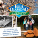 Blue Diamond Almonds, Raw Whole Natural, 40 Ounce