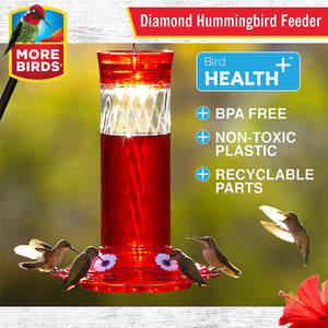 More Birds Hummingbird Feeder